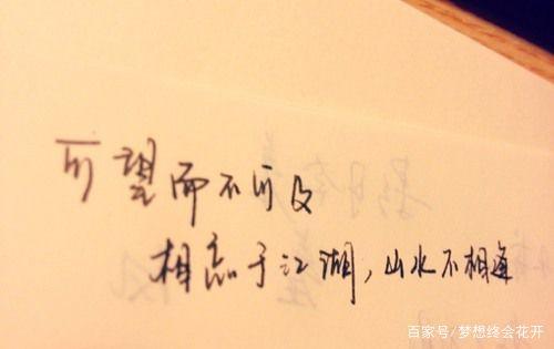 写下我从未忘记的内存_250字