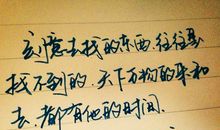 美丽与哀愁——再读三毛_1500字