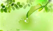 环保、环保？环保！_900字