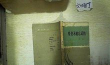 爱，是不能忘记的_800字