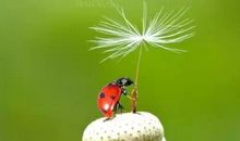 冰的雨，暖的雨（雨中情）_500字