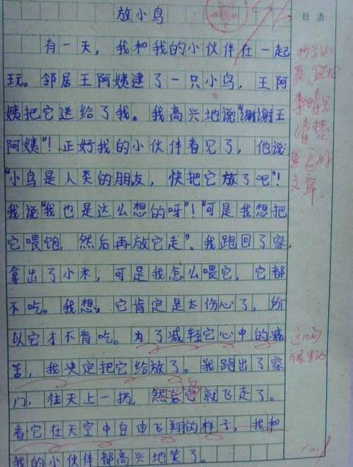 如果我是母亲_450字