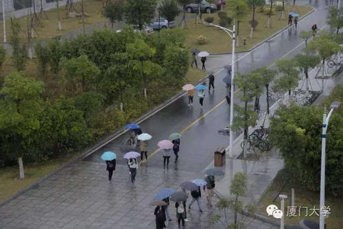 令人难忘的雨_600字
