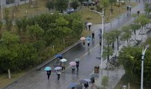 难忘的一场雨_600字