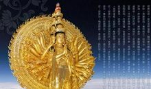 家有匪妹不好惹_500字