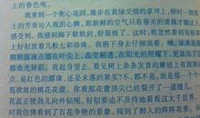 关于雨的作文：醉人的雨_300字