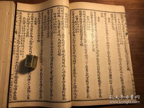 我也是珍珠_900字