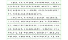 关于元旦的作文：不快乐的元旦_500字