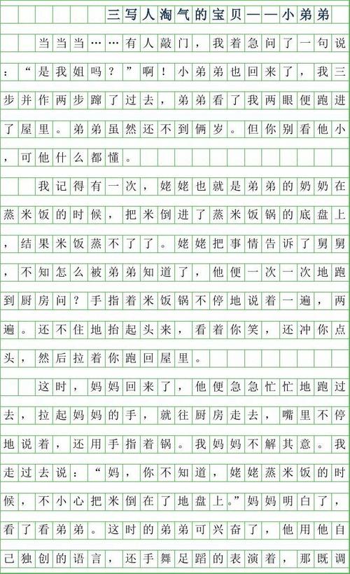 顽皮的小弟弟_900字
