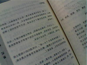 好春节：春节是一个好句子_1500字