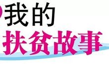 我眼中的雷锋_450字