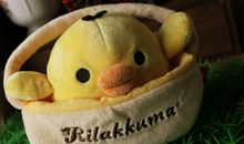 哦，我长大了！_400字