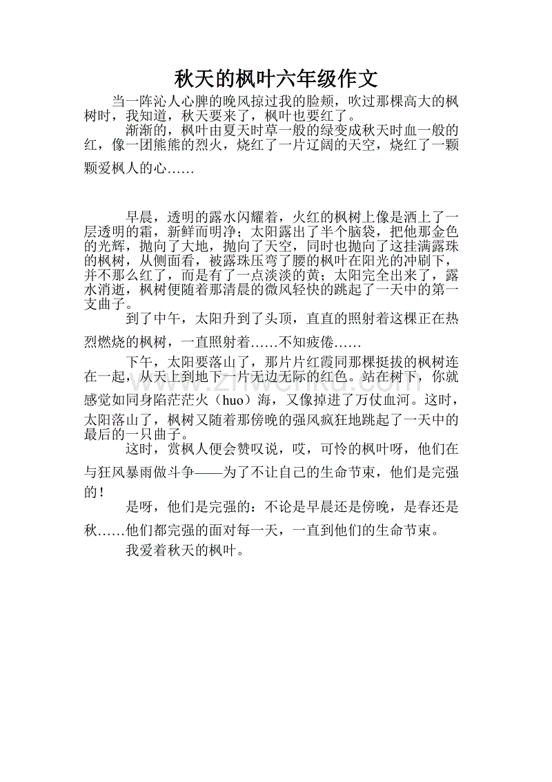 高双写视图：枫叶_900字