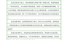 四年级叙事作文：宽容的力量_550字