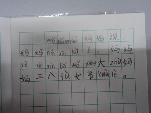 我想对我的母亲说_550字