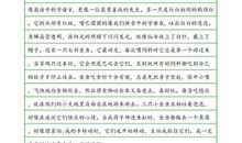 四年级叙事作文：童年的太阳_550字