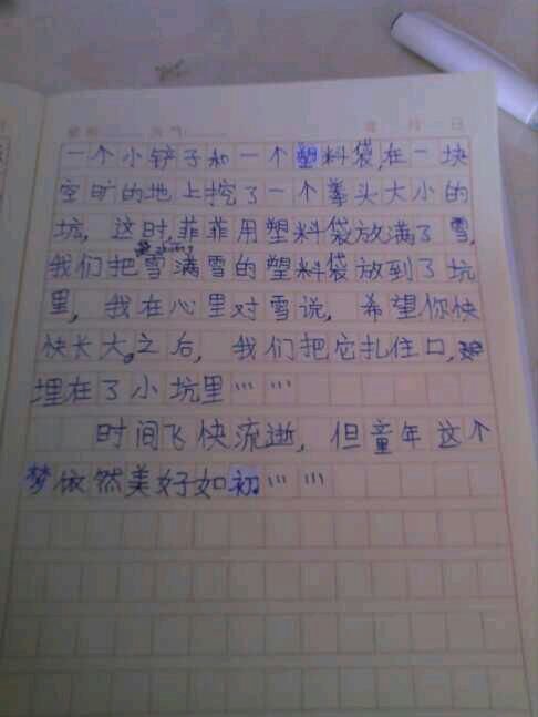 一个有趣的照片_700字