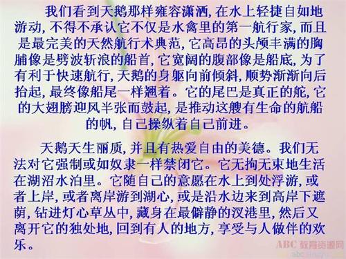 第一叙事成分：恐慌_900字