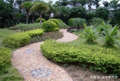 校园，美丽的花园_350字