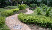 校园一景――美丽的鉴园_350字