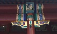 爱与你同行_900字