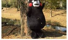 即使不成功，也不能成为空白_1500字