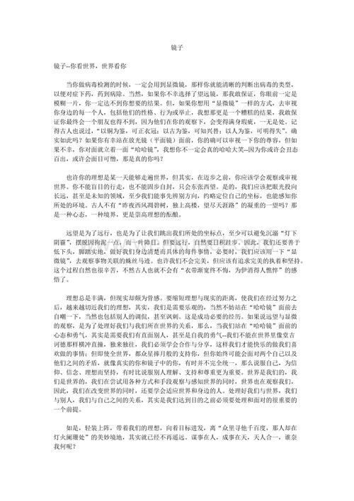 2011天津学院入学考试：镜像_30字