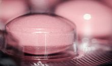 新的老师新的同学新的我_750字