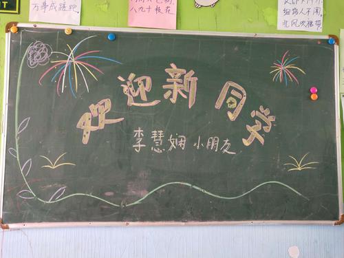 我们的班级有一个新的同学_500字