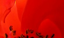 [我的烦恼]岁月如流水_800字