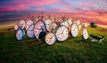 光阴收购店_800字