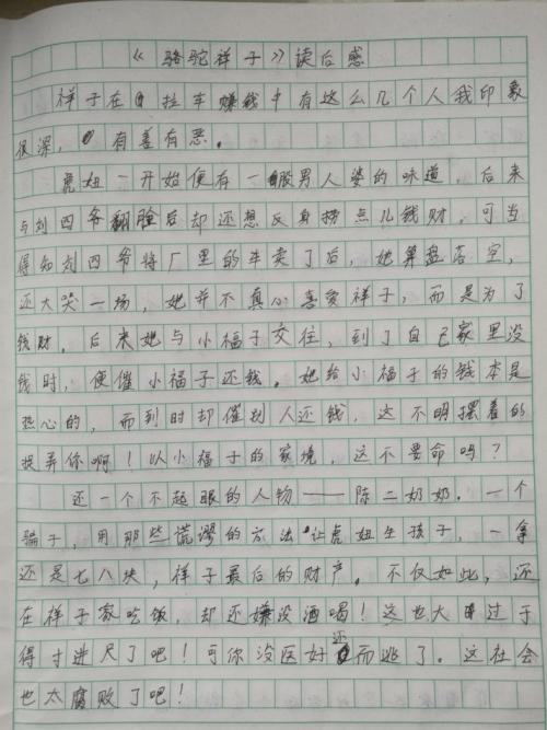 描述母亲的爱的好句子，细分的部分_2000字