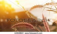 太阳光的颜色_450字