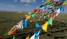 一道独特的风景线_450字