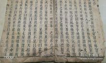 《小猫咪家族遇险记》第二部（二）_900字