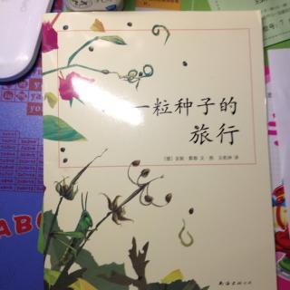 种子旅行_300字