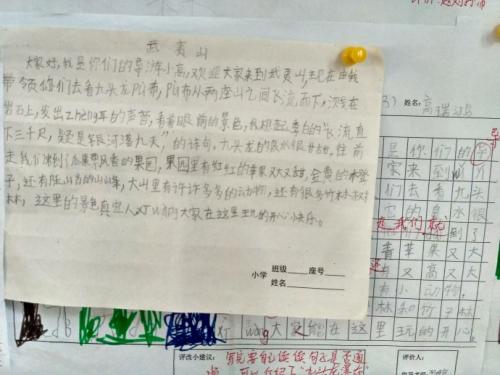 我是一个小指南_600字