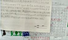 我是一个小导游_600字