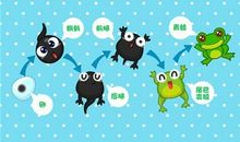 可爱的小蝌蚪_400字