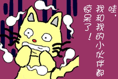 我的小伴侣_800字