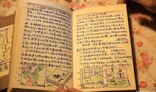 一年级日记：我家的“小客人”_150字