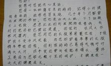 【微作文】这就是我_300字