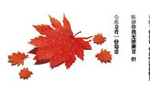 失败也是一首歌_900字