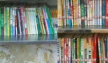 《书香承载梦想，阅读改变人生》_800字