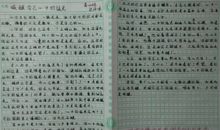 【微作文】这就是我_150字