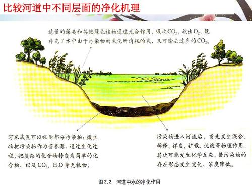 基于污染杂质的水污染