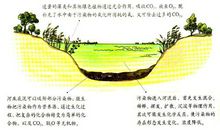 水污染根据污染杂质的分类