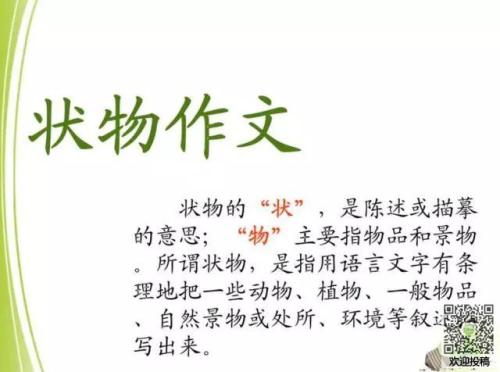 前两个字符的成分：家里有一个兔子_900字