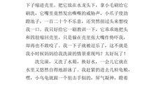 初二状物作文：小乌龟_650字