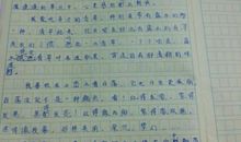 关于马的作文：宝儿_900字